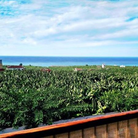 Apartamento El Tejar Tazacorte Dış mekan fotoğraf